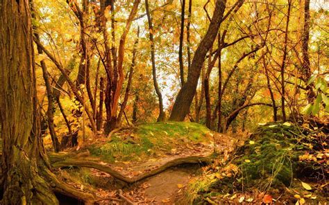 Seriously 47 Little Known Truths On Wallpaper Cave Autumn Scene