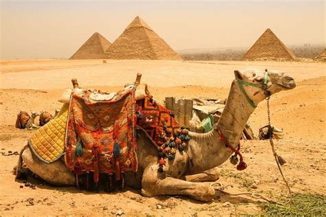 Egypt Best Holidays Kahire Tripadvisor