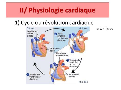 Ue 27 Partie 1 Physiologie Cardio