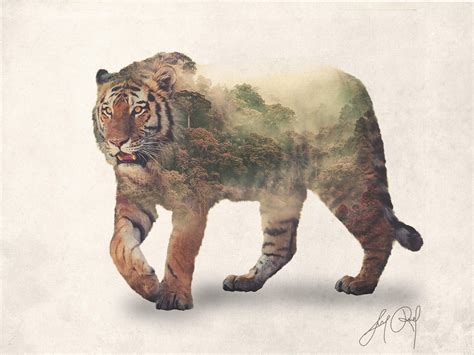 Tiger Double Exposure Animal Portraits By Lunaroveda On Deviantart