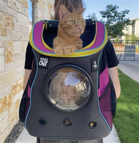 Stray X Travel Cat Backpack Limited Edition Travel Cat Your Cat