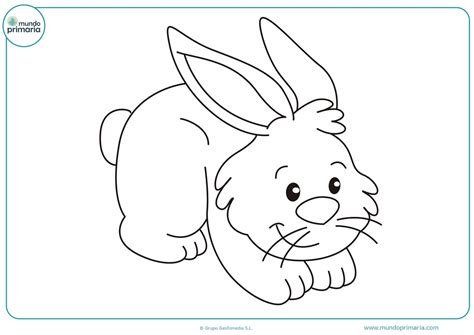 Dibujos De Conejos Para Colorear Mundo Primaria