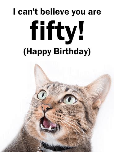 50th birthday cards is fifty the new forty? Funny Cat Happy 50th Birthday Card | Birthday & Greeting ...