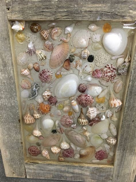 Sea Shell Wall Art Etsy