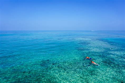 Free Images Sea Water Ocean Horizon Diving Underwater Tropical Blue Swimming Coral