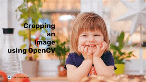 Cropping An Image Using Opencv Learn Opencv My Xxx Hot Girl