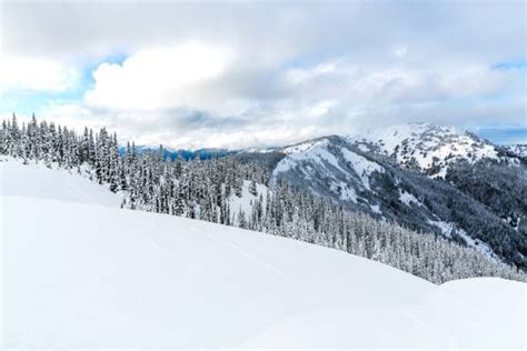 Hurricane Ridge Winter Stock Photos Pictures And Royalty Free Images