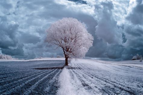The Ir World By Photographer In Poland Amazing Beauty Of