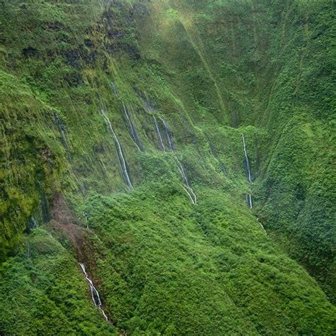 Duke World Wall Of Tears Mount Waialeale Kauai Hawaii