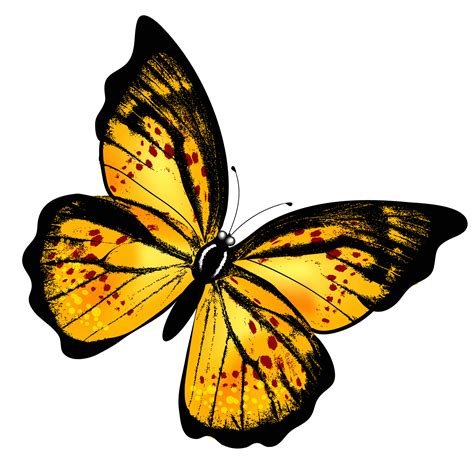 Butterfly Transparent Yellow Transparent Butterfly Clipart Picture