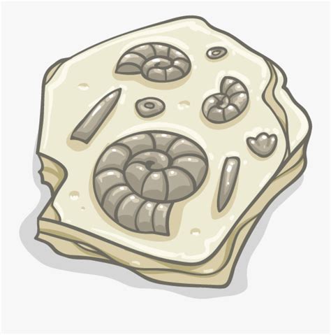 Cartoon Fossil Png Free Transparent Clipart Clipartkey