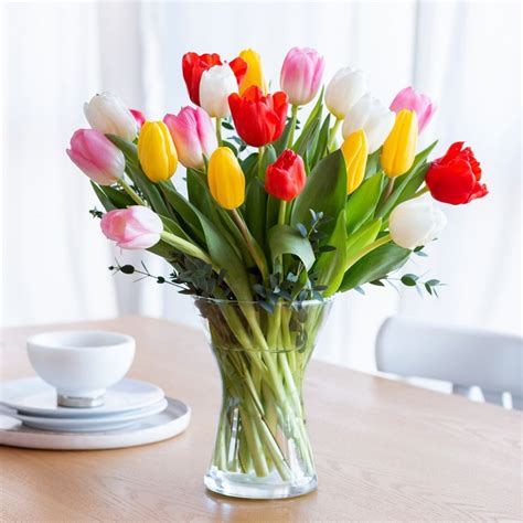 Ad ogni stanza il suo fiore e 5 consigli per mantenerli in vaso più a lungo. Arredare la casa con piante e fiori: quali scegliere e dove acquistarli - VLifestyle
