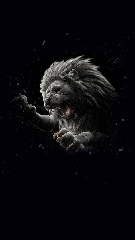 Lion Pictures Amoled Wallpapers Wallpaper Cave