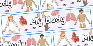👉 My Body Display Banner Teacher Made