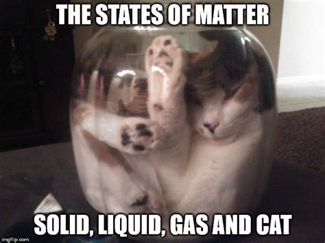 States Of Matter States Of Matter Funny Animal Videos Funny Animals