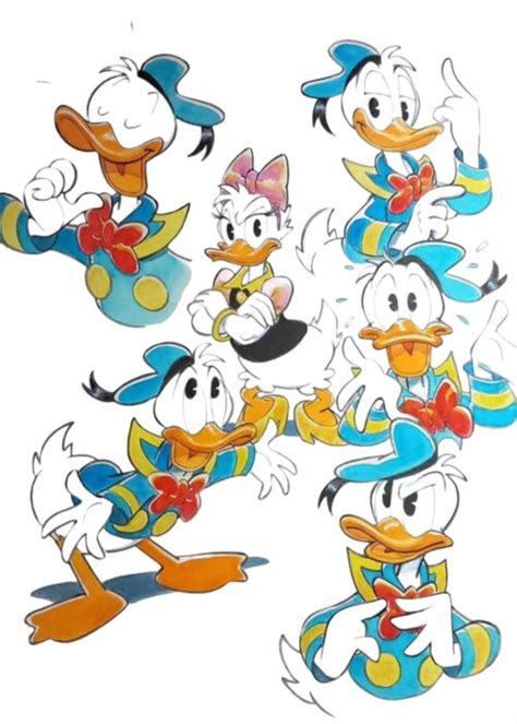 Donald Duck Sailors Promises Signed Original Catawiki