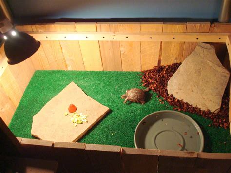 Turtle Enclosure For A Room