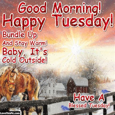 Good Morning Tuesday Its Cold Outside Pictures Photos And Images For