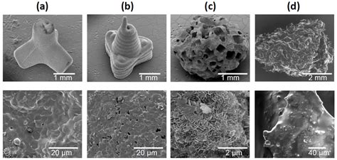 Scanning Electron Micrographs Of Granules And Bone Chips Used In This