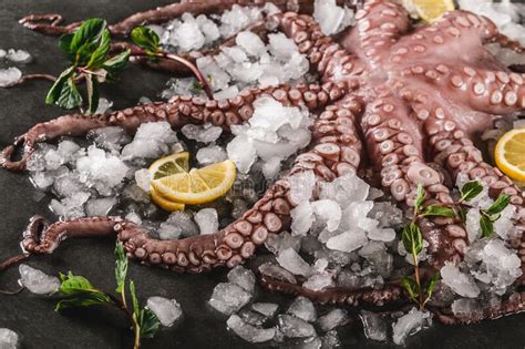 Whole Fresh Raw Octopus With Spices And Lemon On Ice Slate Stone
