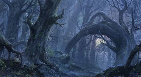 64 Fantasy Forest Wallpaper