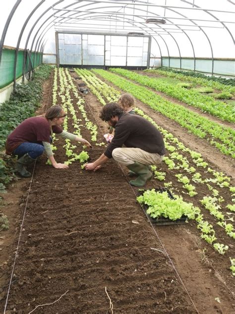 Horticulture Social Farming Ireland