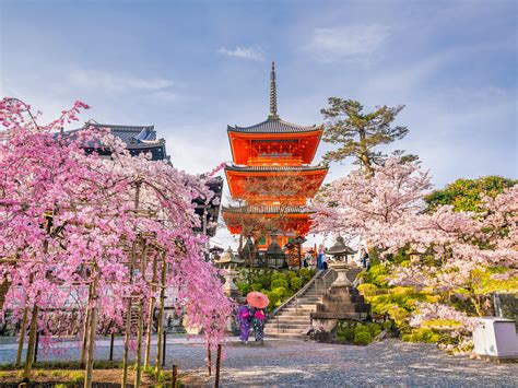 Free Images Tokyo Flower Landmark Spring Cherry Blossom Pagoda