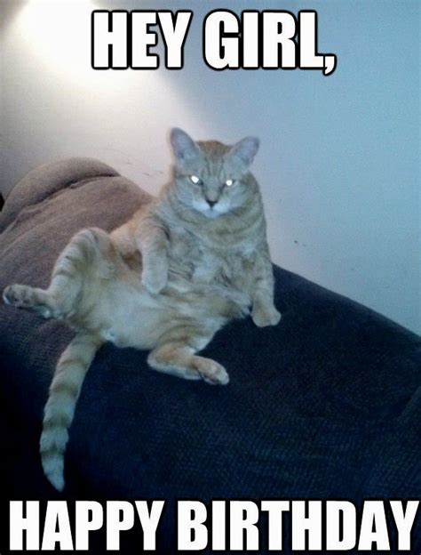 See The Stunning Funny Animal Jokes And Memes Hilarious Pets Pictures