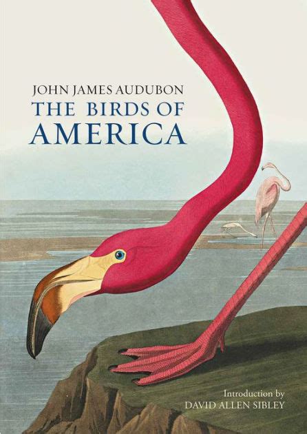 Birds Of America By John James Audubon Hardcover Barnes And Noble®