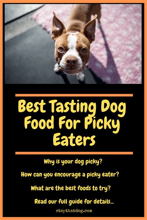 Dogs have different tastes, just like people. What's The Best Tasting Dog Food For Picky Eaters? - Stop ...