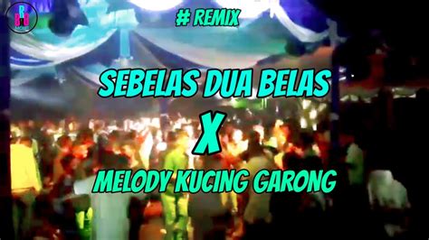 Lagu Party Terbarusebelas Dua Belas Melody Kucing Garong Remix Remix