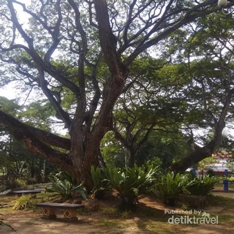 Taman seribu bunga terletak di jalan gapam bersebelahan dengan bangunan seri bendahara atau pejabat ketua menteri melaka ataupun bersebelahan kompleks seri. Foto: Taman Bunga Cantik di Malaysia, Bukan Indonesia