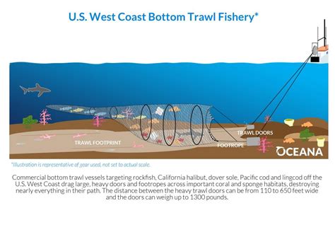 Bottom Trawling Oceana Usa