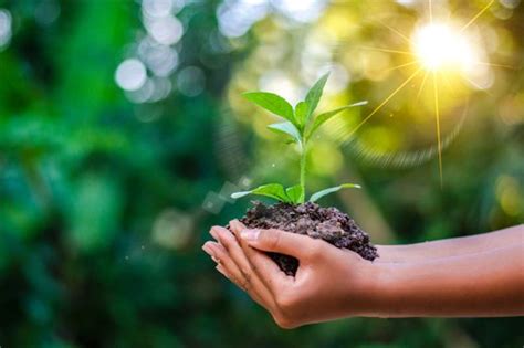 Changes in the earth's environment, societies and economy are the sustainability do something worthwhile in one of the fastest growing sectors of the world economy, with an earth, society and environmental sustainability bachelor of science degree. Why is Environmental Awareness Important? | Environmental ...