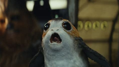 Star Wars Chewbacca Feels Bad About Shoving A Porg In Last Jedi