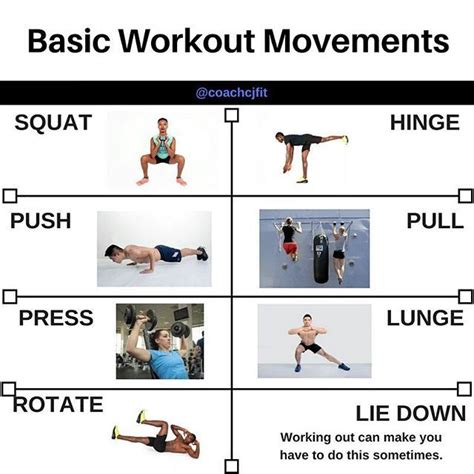 Basic Workout Movements People In The Fitness Industry All Have Different Opinions About