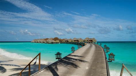 Overwater Bungalows In The Maldives Wallpaper Backiee