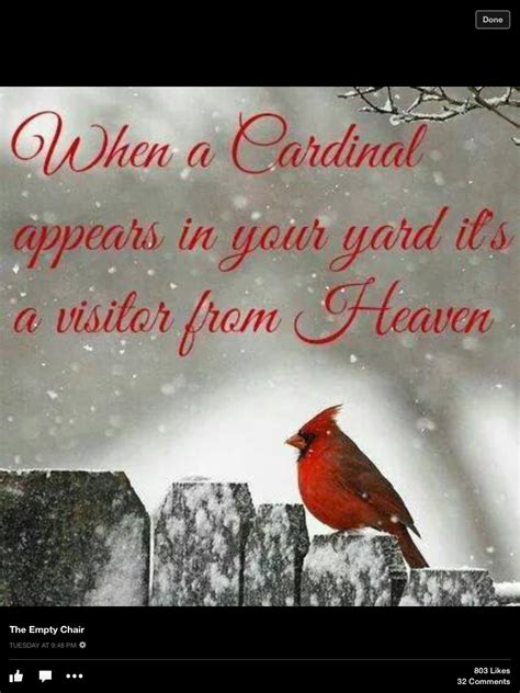 Pin By Kathy Barczewski On Favorite Sayings Pinterest Cardinals