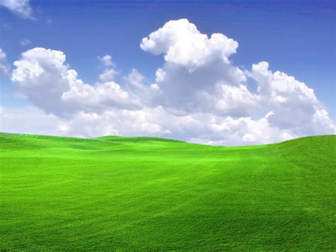 64 Windows Xp Wallpaper Bliss