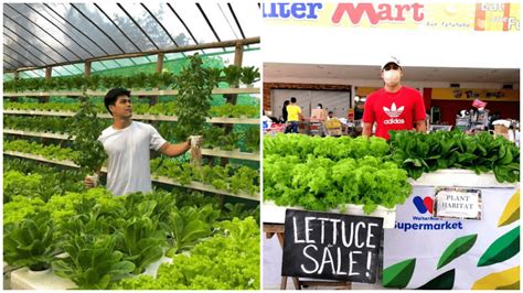 21 Year Old Starts Hydroponics Farming Business With Only P1 000 Capital