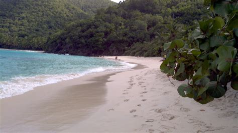 Hawksnest Beach St John Us Virgin Islands Usvi