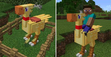 Chococraft Pe Mod Minecraft Pe Mods Addons Hot Sex Picture