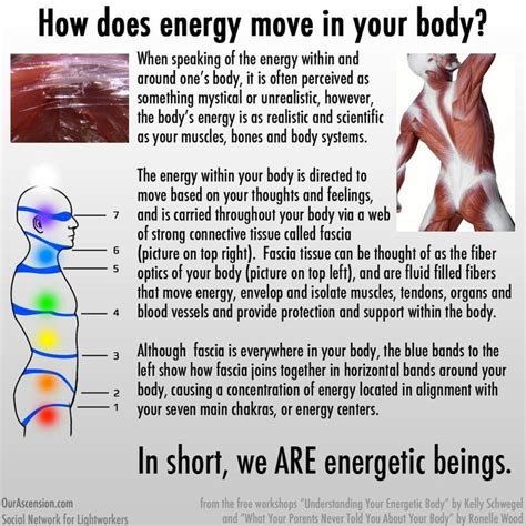 Bodys Energy Systems Energy Healing Energy Healing Reiki Body Energy