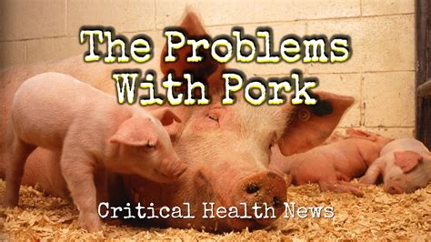 The Problems With Pork Neversickeducation