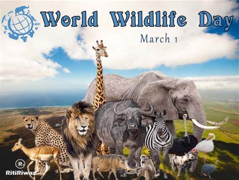 World Wildlife Day 3rd March Ritiriwaz