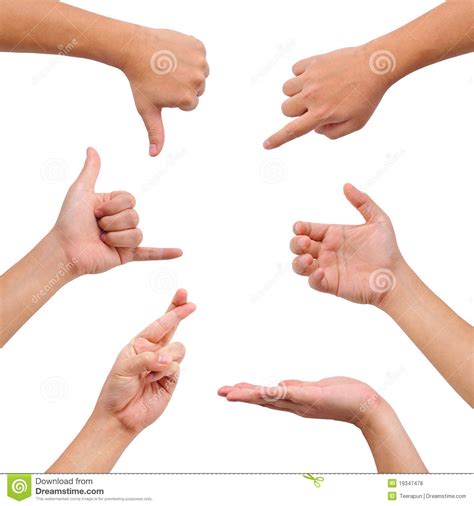 Collection Of Different Gesture Of Hands Stock Photo Image Of Show