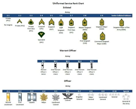 Nuova Lista Di Merci Us Army Cmd Sgt Maggiore E 9 Rango Militare Verde