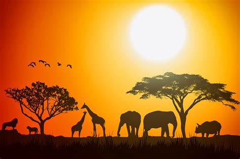 Pemandangan Lanskap Afrika Siluet Sabana Hewan Safari Latar Belakang