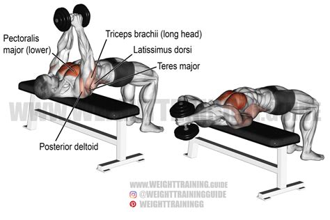 Dumbbell Pullover Exercise Instructions And Video Weight Training Guide
