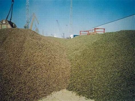 Alfalfa Pellet Machine For Horse Cattle And Other Animal